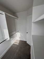 Spacious closet with dark colored carpet