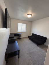 Living area with carpet flooring and a textured ceiling
