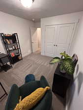 Living area featuring carpet flooring and a textured ceiling