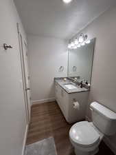 Bathroom with dark wood-type flooring, vanity, and a textured ceiling