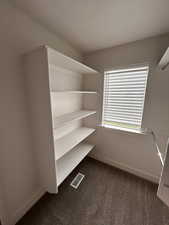 Walk in closet with dark colored carpet
