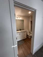 Bathroom with dark wood-style flooring and vanity