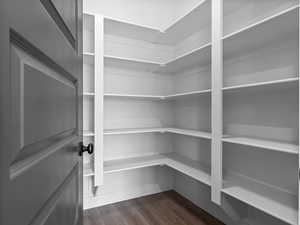 Large Walk in Pantry