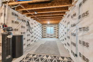 Basement storage space featuring a water softener