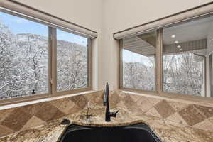 Kitchen view of light stone counters and back yard backdrop. Water filtration system under the sink.