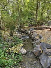 View of the stream running thru the back yard