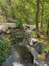 View of the stream running thru the back yard
