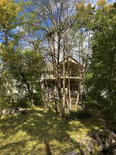 View from the back yard