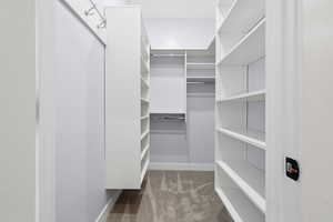Spacious closet featuring light carpet