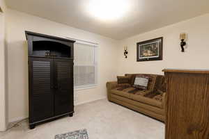Living room featuring light colored carpet and a textured ceiling