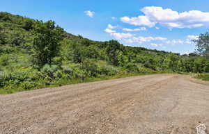 View of dirt / gravel road with a wooded view