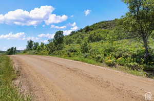 View of dirt / gravel road