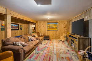 Lower basement level family room