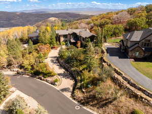 Drone / aerial view of a mountainous background