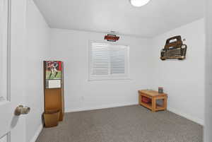 Basement bedroom