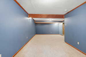 Finished basement with a textured ceiling, carpet flooring, and ornamental molding