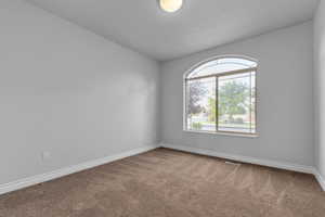 Spare room with carpet and a textured ceiling