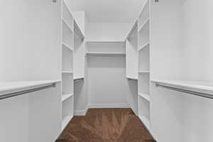 Spacious closet featuring dark carpet