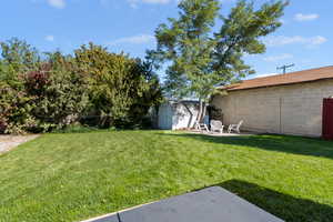 View of yard with a shed and a patio area