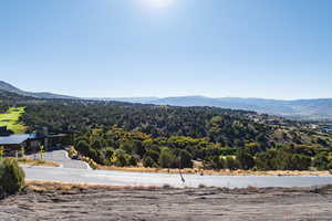 View of mountain background featuring a heavily wooded area