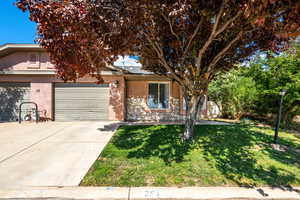 Obstructed view of property featuring stucco siding, driveway, a garage, and a front yard