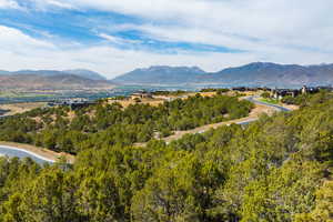Mountain view featuring a heavily wooded area