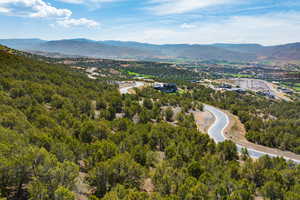 Bird's eye view of a mountain backdrop and a heavily wooded area