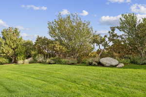 View of green lawn