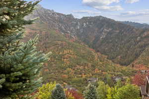 View of mountain background