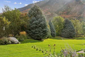 View of property's community featuring a mountain view and a lawn