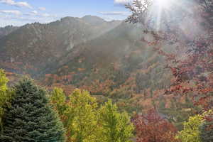 Mountain view with a heavily wooded area