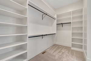 Spacious closet featuring light colored carpet