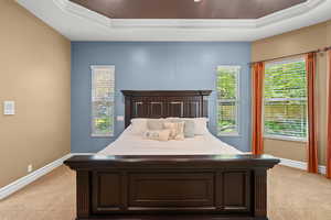 Bedroom with light carpet, crown molding, a tray ceiling, and ceiling fan