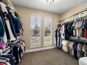 Walk in closet with carpet