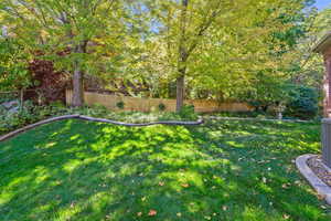 View of fenced backyard