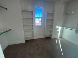 Spacious closet with dark carpet