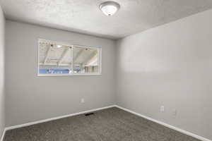Unfurnished room featuring carpet and a textured ceiling