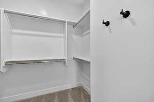 Spacious closet with light carpet