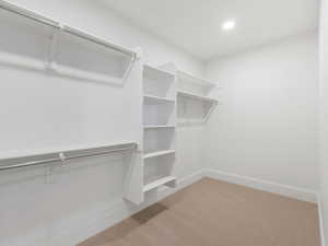 Spacious closet featuring light carpet
