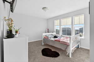 Bedroom with carpet flooring
