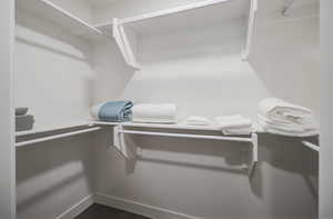 View of walk in closet