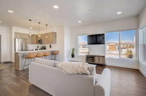 Living room featuring recessed lighting and dark wood-style flooring