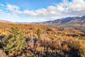 View of mountain background featuring a forest