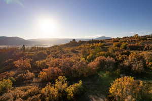 View of mountain background with a forest