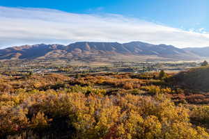 View of mountain background with a heavily wooded area