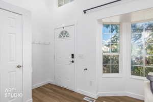 Entryway featuring plenty of natural light and dark wood-style flooring