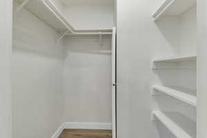 Spacious closet featuring light wood-style flooring