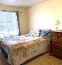 Bedroom with carpet flooring