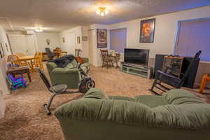 Living room with carpet flooring and a textured ceiling