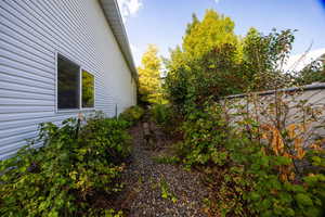 Blackberries and raspberries